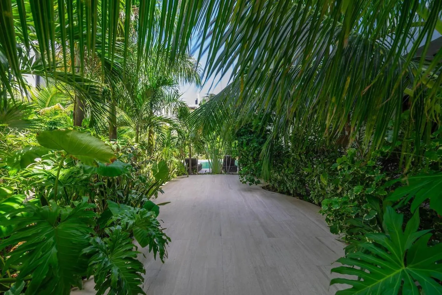 1 Bd Luxury Suite With Balcony In Trendy La Veleta Tulum 0*,  Mexico